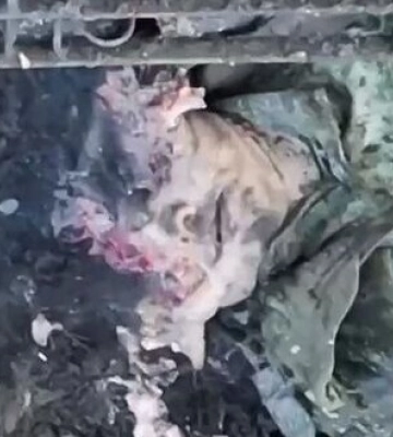 Окупанту відірвало пів голови під час навдалого штурму Синьківки на Харківщині. ВIДЕО 18+