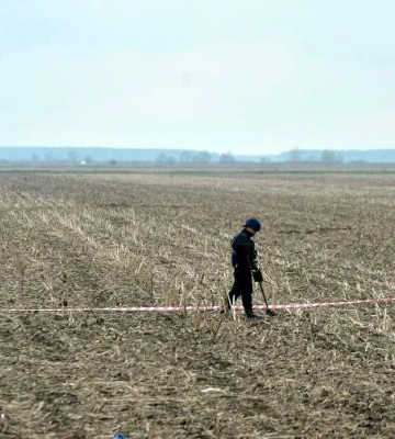 Україна втратила 19,3% посівних площ через війну - Миколаївщина серед найбільш постраждалих областей