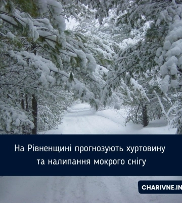 На Рівненщині через негоду шестеро громадян звертались до ДСНС