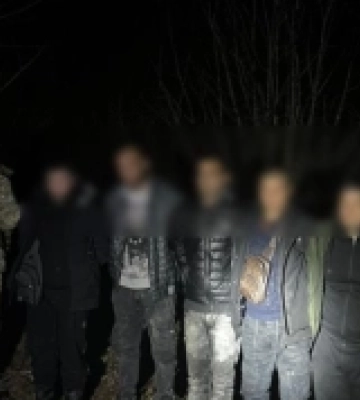 Закарпатські прикордонники затримали 12 правопорушників біля кордону з Румунією та Угорщиною