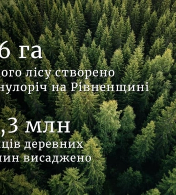 Понад 100 гектарів нового лісу створено на Рівненщині