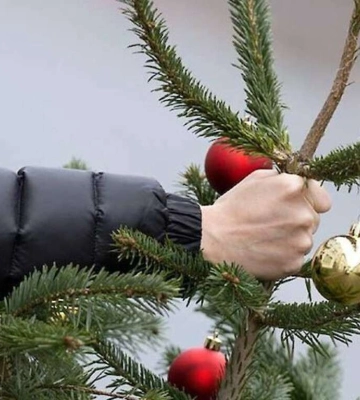 У Дніпрі організували точки збору ялинок для утилізації: де можна здати