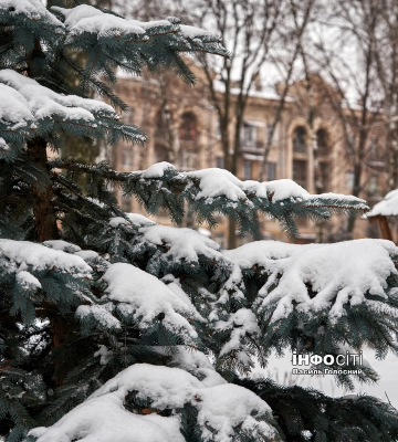 Мокрый снег и гололедица. Какой будет погода 16 января в Харькове и области