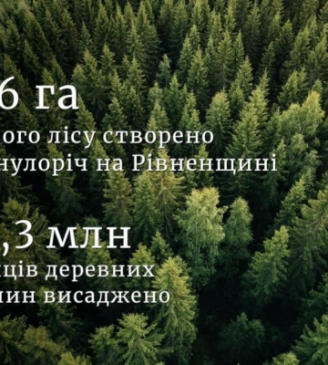 Понад 100 гектарів нового лісу створено на Рівненщині