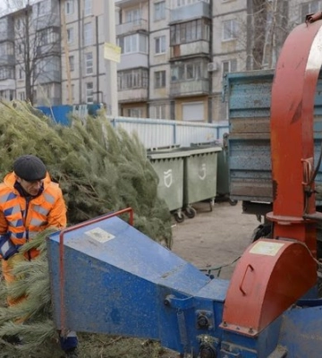 Здати ялинку на переробку у Дніпрі: адреси пунктів