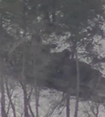Екіпаж РСЗВ "HIMARS" знищує ворожий ЗРК "Оса" на південному напрямку. ВIДЕО