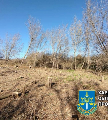 На почти 250 тыс. гривен мужчина нарубил кленов в Харьковской области