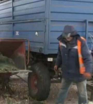 Переробка ялинок у Львові: як це відбувається, - ВІДЕО