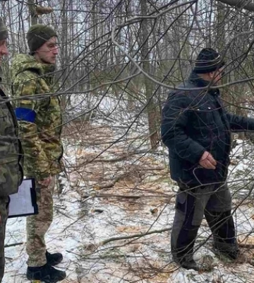 На Волині виявили самовільну рубку дерев: що чекає на порушників 