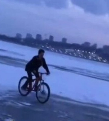 Як у Дніпрі лебедів рятували (відео)