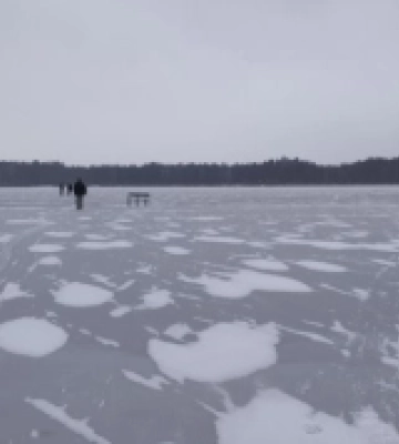 На озері Чисте виявили браконьєрську сітку із 20 товстолобами