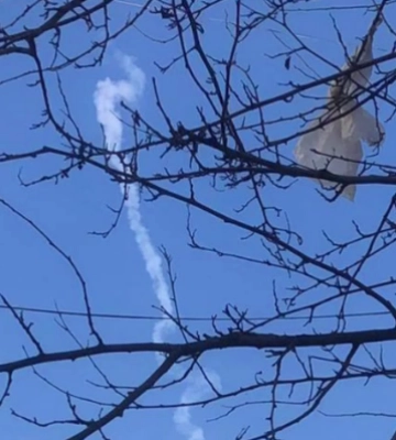 В окупованому Севастополі оголошено повітряну тривогу: росіяни перекрили Кримський міст