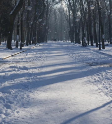 Штормове попередження. Чого очікувати від погоди в Івано-Франківську 18 січня?