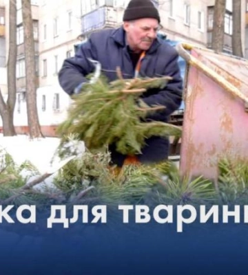 У Дніпрі дивом вдалося врятувати тварину