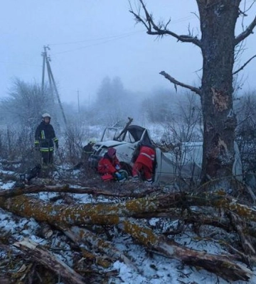 У Вінницькій області авто злетіло з траси та врізалось в дерево: двоє загинули на місці (ФОТО)
