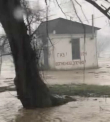 Вода дісталась будинків: внаслідок паводку на заході України затопило село (відео)