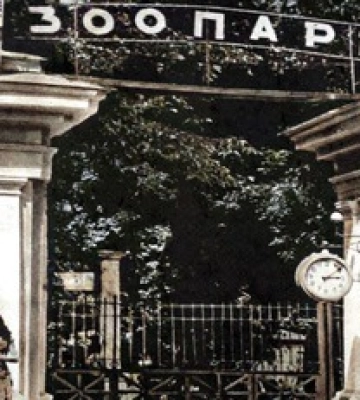 Яким був Київ у 1960-ті роки: фото з архівів