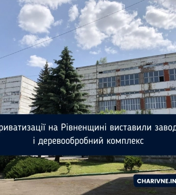 До приватизації на Рівненщині виставили завод, цех і деревообробний комплекс