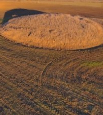 Органами прокуратури Миколаївщини захищено власність держави - пам’ятки  археології