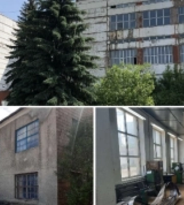 До приватизації на Рівненщині виставили завод, цех і деревообробний комплекс