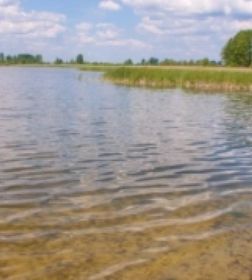 У громаді на Волині погіршується екологічна ситуація біля озера Домашнє