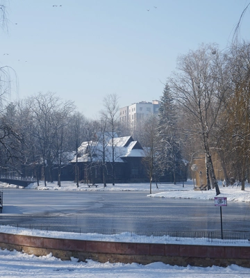 Сонячно, але вітряно. Прогноз погоди у Франківську на 20 січня