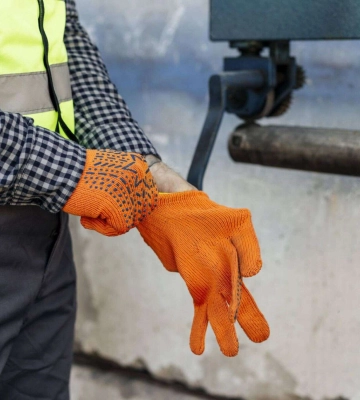 За заявками громадян: у місті Дніпро продовжують видаляти, обрізати та омолоджувати аварійні дерева