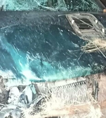 Під Одесою легковик вилетів у кювет та перевернувся – постраждали водій та пасажир