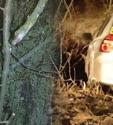 Злетів з дороги і врізався в дерево: в аварії на Полтавщині загинув 39-річний чоловік