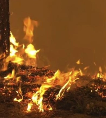 У Здолбунові горів мінімаркет (ВІДЕО)