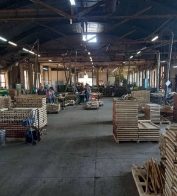 На Рівненщині виставили на продаж деревообробне підприємство