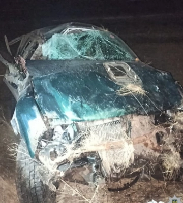 Під Одесою на швидкості злетів у кювет та перекинувся автомобіль