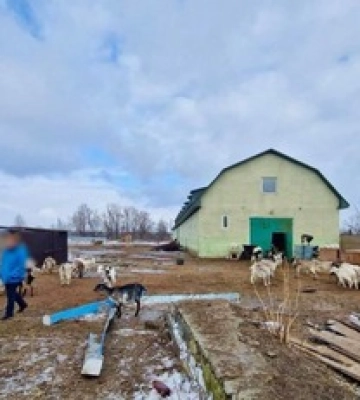 Жестоко издевались над животными: под Киевом задержали владельцев приюта