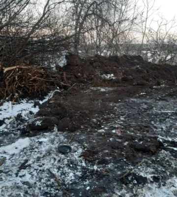 У Кропивницькому в парку Перемоги незаконно зрубали кілька дерев 