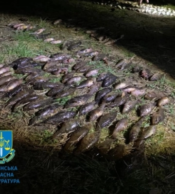 На Волині браконьєр заплатить майже мільйон гривень за впійману рибу 