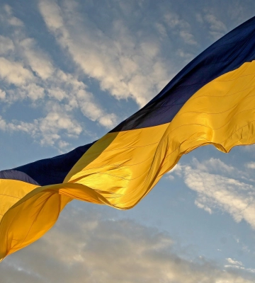 В окупованій Макіївці активісти підняли державний прапор з нагоди Дня Соборності України