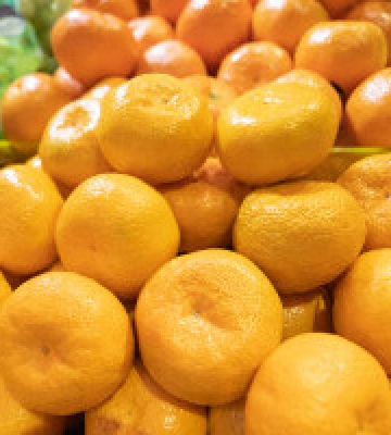 У столиці цього тижня пройдуть продуктові сільськогосподарські ярмарки (локації)