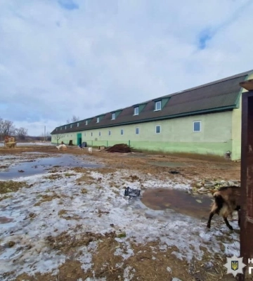 На Київщині розпочали кримінальне провадження за фактом жорстокого поводження із тваринами