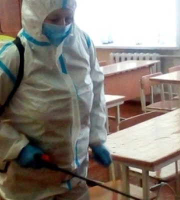 На Волині вперше виявили пташиний грип: що робити власникам курей і гусей