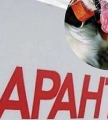 На Полтавщині у собаки, який покусав людей та тварин, підтвердили сказ