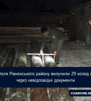 На Березнівщині на пилорамі вилучили майже три десятки колод сосни