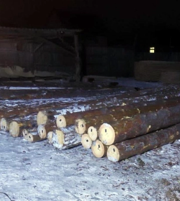 На Березнівщині на пилорамі вилучили майже три десятки колод сосни