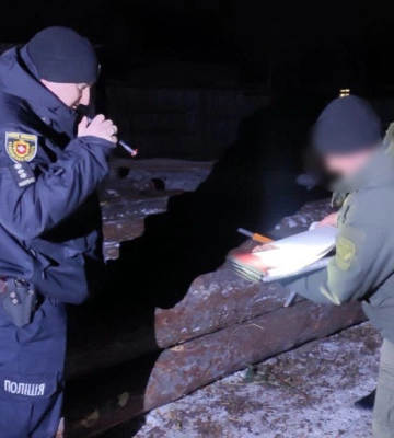 Поліція знайшла 29 колод, а власник пилорами з Полісся нічого не пояснює