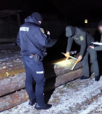 На Березнівщині на пилорамі вилучили майже три десятки колод сосни