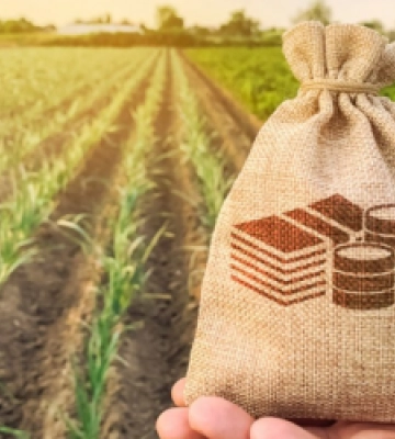 18 січня на Львівщині з аукціону продадуть дві земельні ділянки