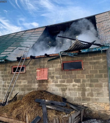 У селі на Тернопільщині під час пожежі загинули десять свиней