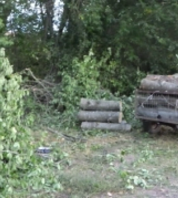 Поліцейські направили до суду обвинувальний акт відносно жителя Подільського району у незаконній порубці лісових насаджень