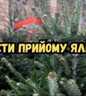 В Одесі працюють пункти прийому ялинок