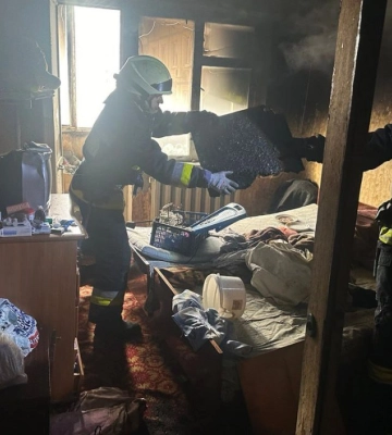 У Дніпрі з палаючого будинку врятували котика