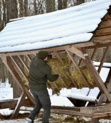 У лісах Черкащини вирощують плямистих оленів (ФОТО)